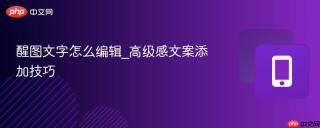 醒图文字怎么编辑_高级感文案添加技巧