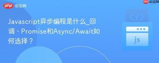 Javascript异步编程是什么_回调、Promise和Async/Await如何选择？