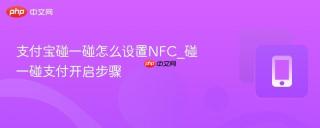 支付宝碰一碰怎么设置NFC_碰一碰支付开启步骤