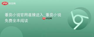 番茄小说官网直接进入_番茄小说免费全本阅读