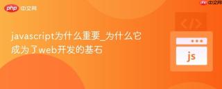 javascript为什么重要_为什么它成为了web开发的基石