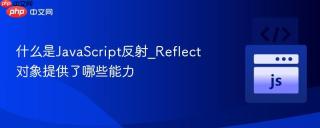 什么是javascript反射_reflect对象提供了哪些能力