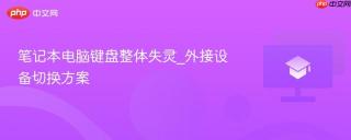 笔记本电脑键盘整体失灵_外接设备切换方案