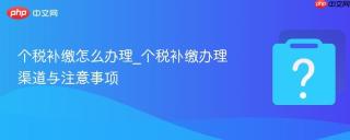 个税补缴怎么办理_个税补缴办理渠道与注意事项