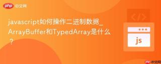 javascript如何操作二进制数据_ArrayBuffer和TypedArray是什么？
