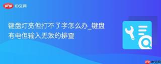 键盘灯亮但打不了字怎么办_键盘有电但输入无效的排查