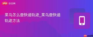菜鸟怎么查快递轨迹_菜鸟查快递轨迹方法