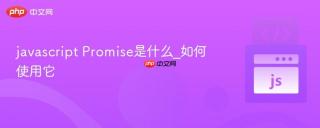 javascript promise是什么_如何使用它
