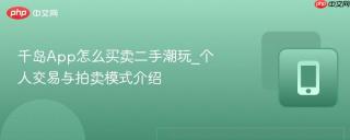千岛App怎么买卖二手潮玩_个人交易与拍卖模式介绍