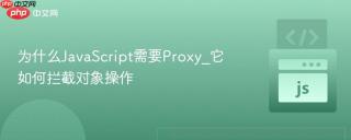 为什么javascript需要proxy_它如何拦截对象操作