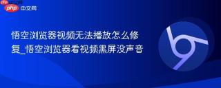 悟空浏览器视频无法播放怎么修复_悟空浏览器看视频黑屏没声音