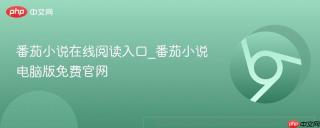 番茄小说在线阅读入口_番茄小说电脑版免费官网