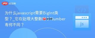 为什么javascript需要BigInt类型？_它在处理大整数时与Number有何不同？