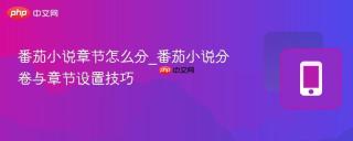 番茄小说章节怎么分_番茄小说分卷与章节设置技巧