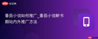 番茄小说如何推广_番茄小说新书期站内外推广方法
