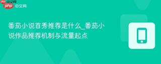 番茄小说首秀推荐是什么_番茄小说作品推荐机制与流量起点
