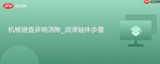 机械键盘异响消除_润滑轴体步骤