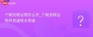 个税完税证明怎么开_个税完税证明开具途径与用途