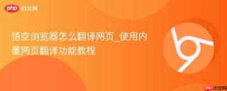 悟空浏览器怎么翻译网页_使用内置网页翻译功能教程