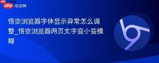 悟空浏览器字体显示异常怎么调整_悟空浏览器网页文字变小变模糊