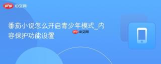 番茄小说怎么开启青少年模式_内容保护功能设置