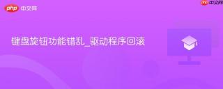 键盘旋钮功能错乱_驱动程序回滚