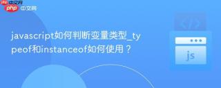 javascript如何判断变量类型_typeof和instanceof如何使用？