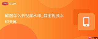 醒图怎么去视频水印_醒图视频水印去除