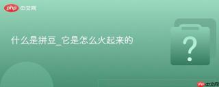 什么是拼豆_它是怎么火起来的