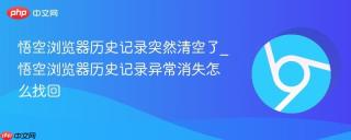悟空浏览器历史记录突然清空了_悟空浏览器历史记录异常消失怎么找回