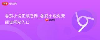 番茄小说正版官网_番茄小说免费阅读网站入口