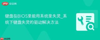 键盘在BIOS里能用系统里失灵_系统下键盘失灵的驱动解决方法
