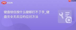 键盘锁住按什么键都打不了字_键盘完全无反应的应对方法