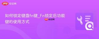 如何锁定键盘fn键_Fn锁定后功能键的使用方式