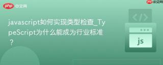 javascript如何实现类型检查_TypeScript为什么能成为行业标准？