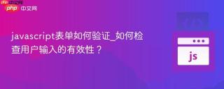 javascript表单如何验证_如何检查用户输入的有效性?