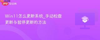 Win11怎么更新系统_手动检查更新与暂停更新的方法