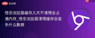 悟空浏览器缓存几天不清理会占满内存_悟空浏览器清理缓存会丢失什么数据