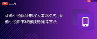 番茄小说验证期没人看怎么办_番茄小说新书破圈获得推荐方法