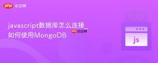 javascript数据库怎么连接_如何使用MongoDB
