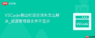 vscode侧边栏项目消失怎么解决_资源管理器文件不显示