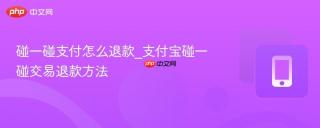 碰一碰支付怎么退款_支付宝碰一碰交易退款方法
