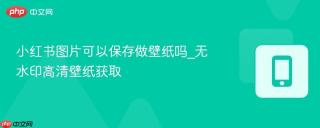 小红书图片可以保存做壁纸吗_无水印高清壁纸获取