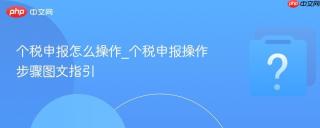 个税申报怎么操作_个税申报操作步骤图文指引
