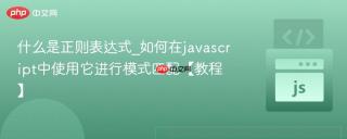 什么是正则表达式_如何在javascript中使用它进行模式匹配【教程】