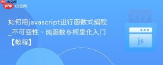 如何用javascript进行函数式编程_不可变性、纯函数与柯里化入门【教程】