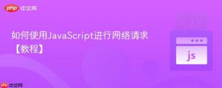 如何使用JavaScript进行网络请求【教程】