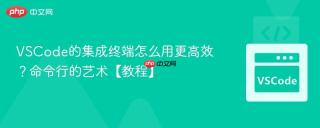 vscode的集成终端怎么用更高效?命令行的艺术【教程】