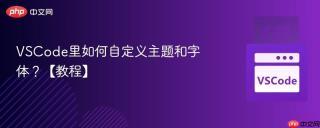 vscode里如何自定义主题和字体？【教程】