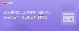 如何在VSCode中高效地编写Python代码？入门到进阶【教程】